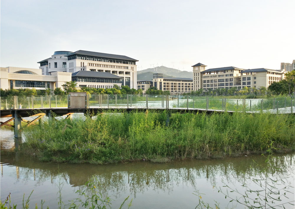 澳門大學新校區.jpg